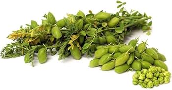 Gram Raw(Chholia)